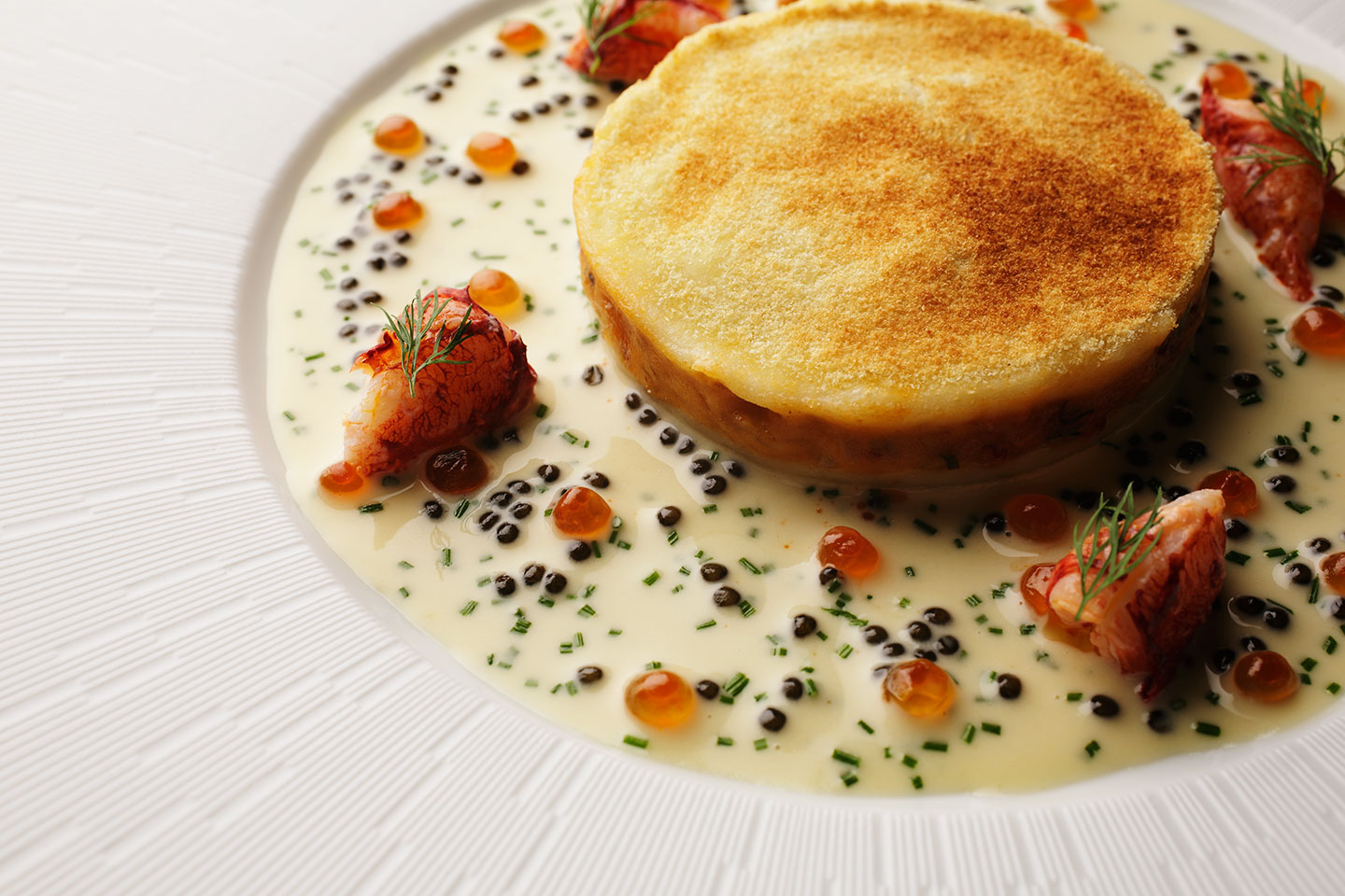 NἜἂ料理本ドミニクブシェἚὙᾳ ドミニク・ブシェ トーキョー