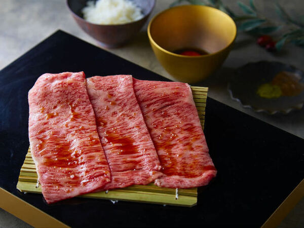 ZAIGLE サークル炙輪（あぶりん） ホットプレート 無煙 焼き肉