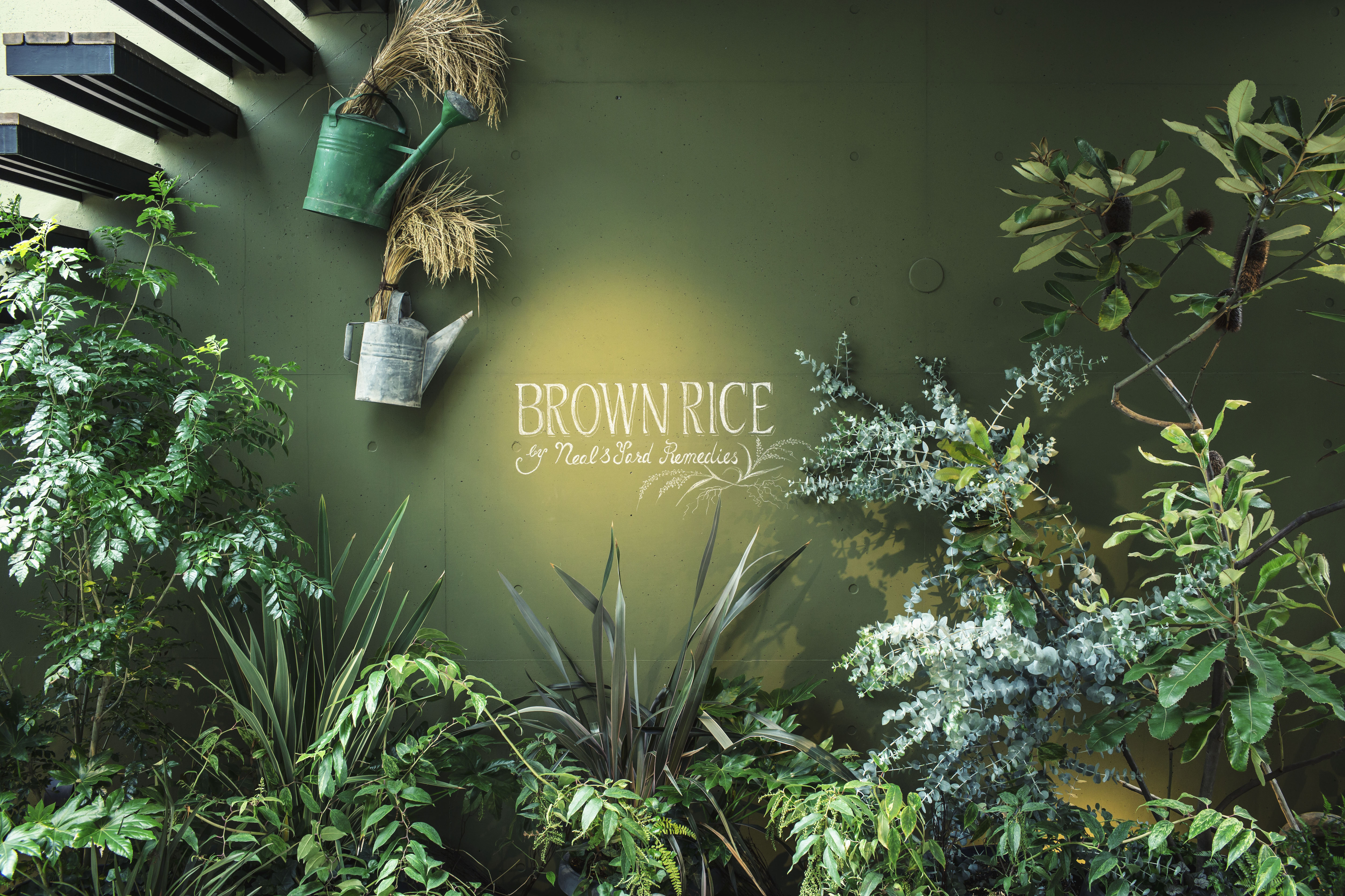 BROWNRICEの施設画像1