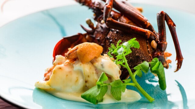 cb704003.jpg?1661823461