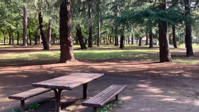 都立野川公園バーベキュー広場の施設画像1