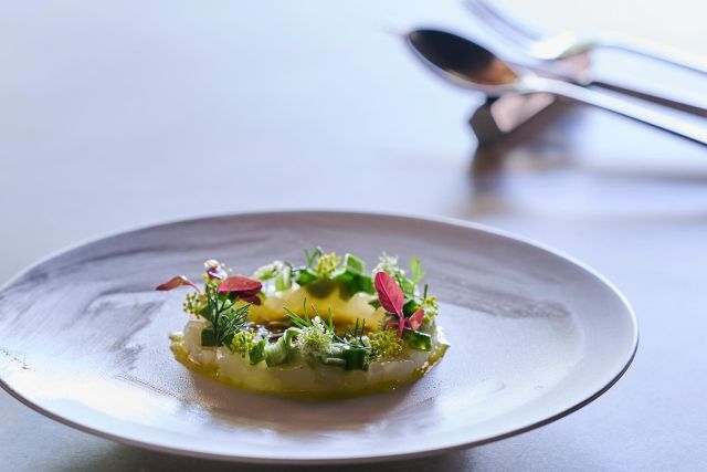 viteraska 松原/藤井寺/河内長野/イタリアン ネット予約可 | ヒトサラ