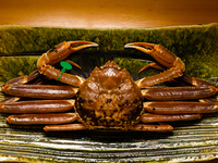 松葉蟹コース        60000円（個室）