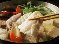 【クエ鍋Aコース】長崎直送の活〆天然"真クエ"を使用！名物"鰹のたたき"や絶品出汁の雑炊付き