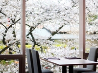 懐石　桐(花見席)