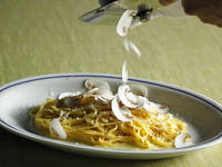 Taste47【4800コース】