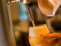ベルギー直送樽生ビール〈Tap 500ml〉