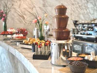 [CATH 특별가] 어린이 - 애프터눈 티 뷔페