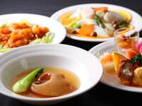 【コース】エルシィ特製 鱶鰭姿煮コース 伽羅～きゃら