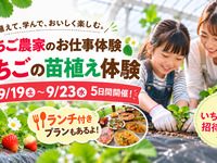 ★いちごの苗植え体験＆ランチビュッフェ
