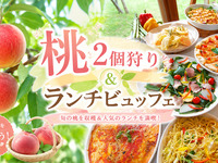 ★ Pick 2 peaches & lunch buffet