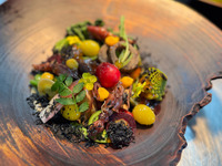 Menu Osaka ネオローカルコース