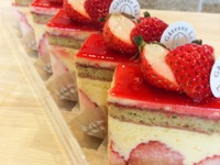 フレジエ（4号サイズ）