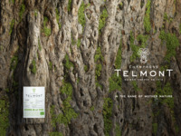 【2/26一夜限りのスペシャルディナーイベント】TELMONT × CHINA SHADOW Dinner