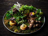 Từ ngày 1 tháng 12 <Bữa trưa> Món omakase 7 món tiêu chuẩn sử dụng nguyên liệu theo mùa