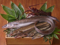 6・7月限定　鱧と鰻に伊勢海老と鮎　季節のおすすめ盛夏