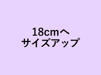 無花果のタルト18cmにサイズアップ(+4400円)