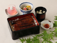 「夏季限定」浜名湖産うな重　半身