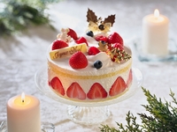 「早得割引」 ガトー・フレジェ 5号（15 cm）