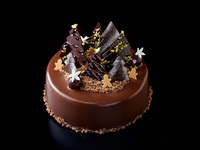 Sapin de Noel Chocolate Pistachio (Free shipping)