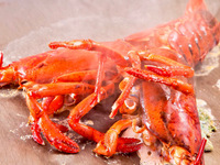 【活！ オマール海老とブランド和牛ステーキのコース】全8品（2名様以上）