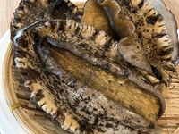 【活！アワビとブランド和牛ステーキのコース】全8品