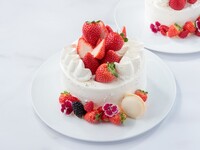 『MIZUNOBU Christmas Cake 2024』 ５号サイズ