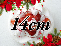 [Receipt from 15:00 to 16:00] Japone Noel (14cm)