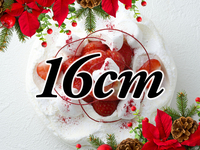 【15時〜16時のお受け取り】ジャポネ・ノエル(16cm)