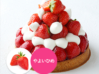 [Receipt from 16:00 to 17:00] Tart Strawberry (14 cm)