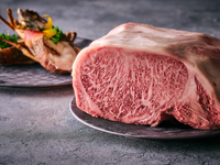 [Limited time offer, reservation required] Teppanyaki spiny lobster and Wagyu steak course