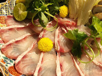 [In-store seating] Natural kue shabu-shabu hotpot course, 6 dishes