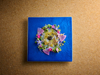 12/31～1/3【Dinner】年末年始限定 GrandBaobab贅沢コース (17,000円/込)