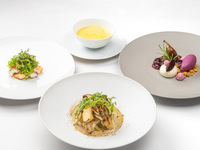 【グレースランチ】旬の味覚を満喫！選べるメイン1品を含む全5品～WEB予約特典・乾杯ドリンク付き～