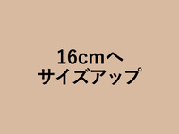 Chocolat Mont Blanc size up to 16cm (+2500 yen)