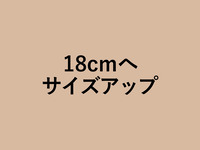 Chocolat Mont Blanc size up to 18cm (+5400 yen)