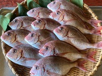 お祝膳（昼夜とも２名様からのご予約制）