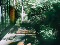 【新緑LUNCHコース テラス確約】 4月29日〜5月25日 新緑LUNCHコーステラス確約プラン 6500円 (LUNCH)