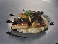 🌙Dinner Course “b” 