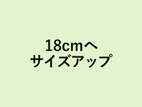 ピスタチオとチェリーのタルト 18cmにサイズアップ(+4720円)