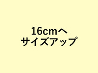 タンブラン16cmにサイズアップ(+2420円)