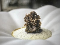 [Dinner] 33,000 yen course