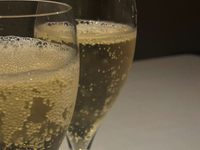 【席のみ】Bar & アラカルト