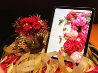 アニバーサリー　”メッセージプラン”