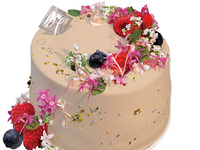 シーズンショートケーキ 生チョコ　4号サイズ