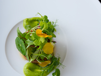 【Dinner】季節のろまねコース12,000円(税込・サ別)◆季節の食材をバランスよく楽しめるお任せプラン。接待やデート、多彩なシーンに◎