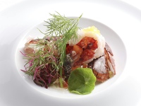  ランチ　究極の寿司ビストロコース  18,000円