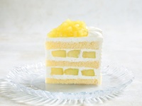 Rich Melon Shortcake