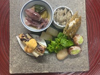 お魚・お肉のコース