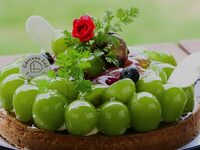 タルトシャイン（4号サイズ）